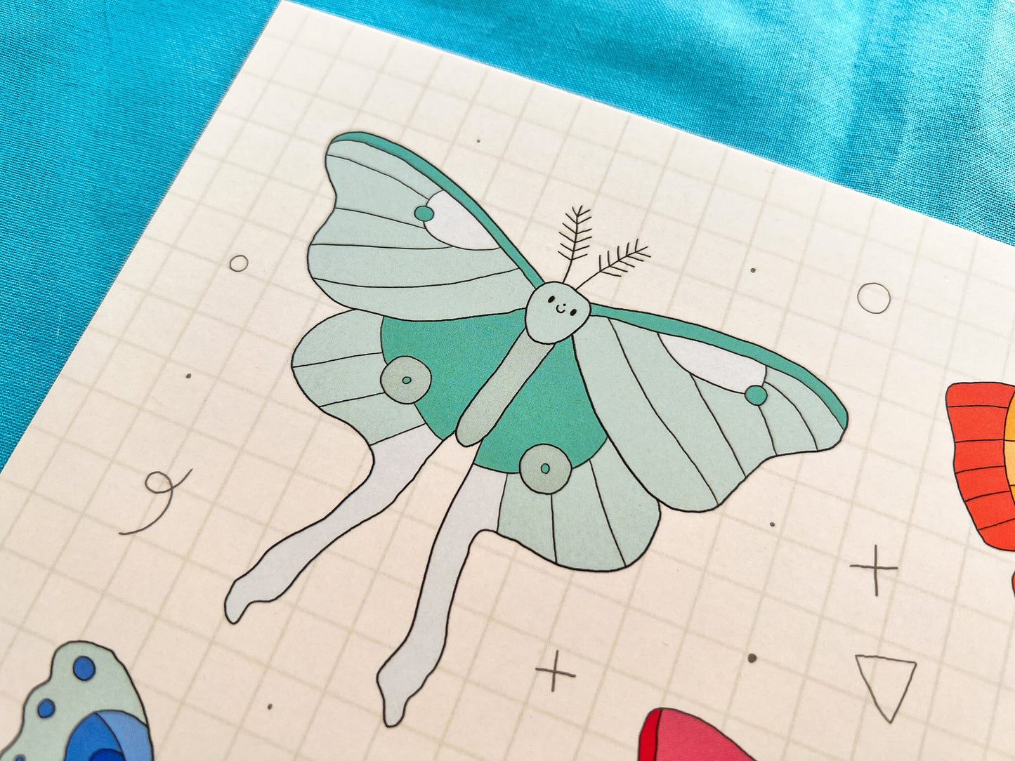 Colorful butterfly illustration on grid paper with a blue background