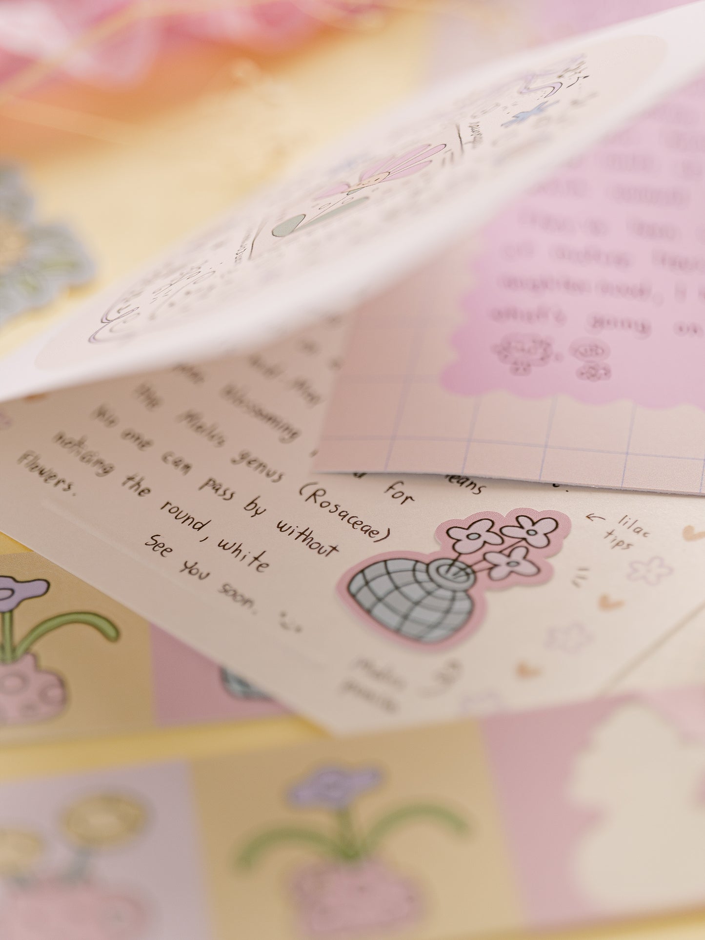 Wildflowers Stationery Set